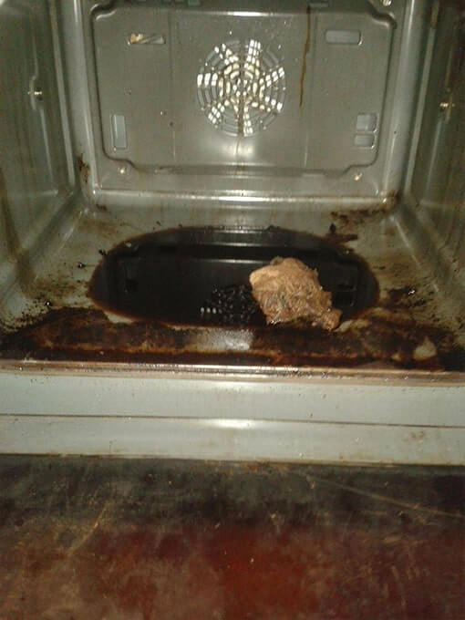 professional oven cleaning before